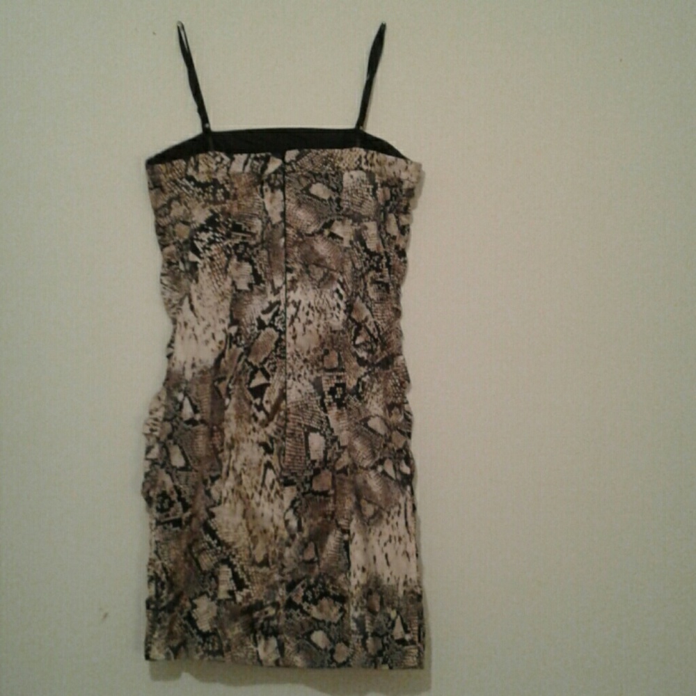 Dresses - Picture 7 of 7